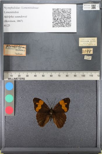 Media type: image;   Entomology 141204